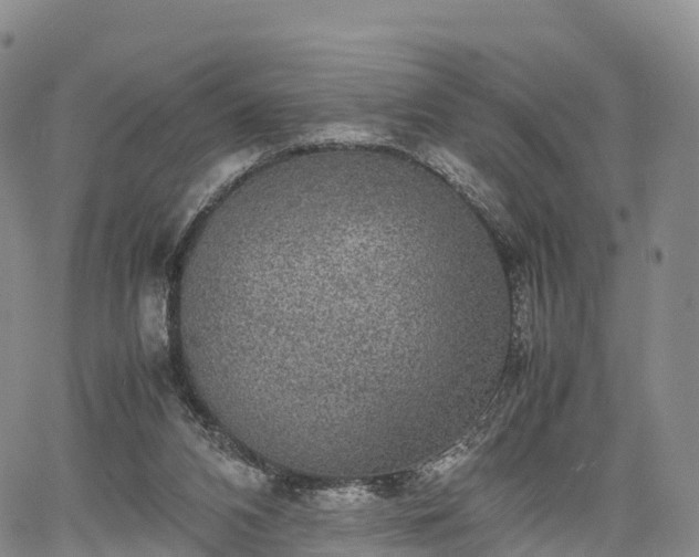 X0000067500112200604101240