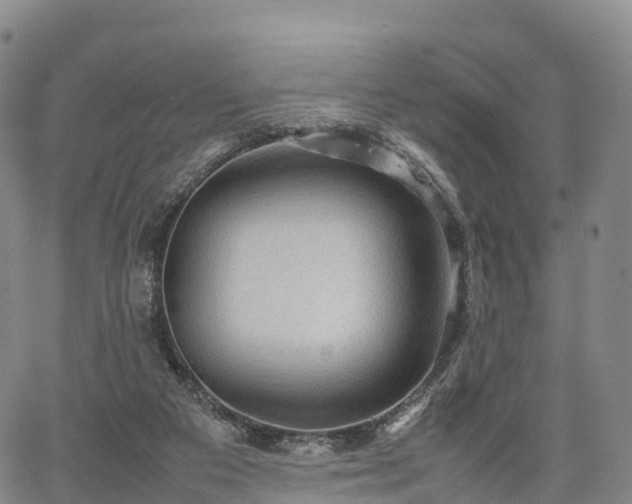 X0000067500113200604101240