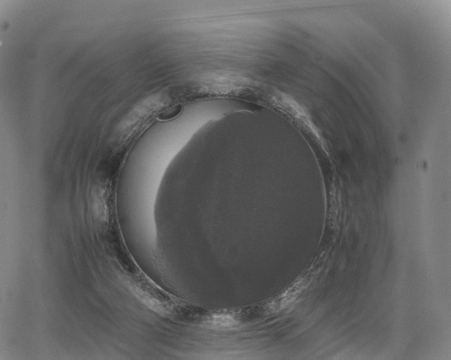 X0000067500114200604101240