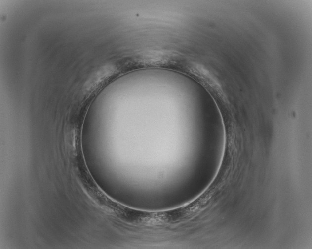 X0000067500115200604101240