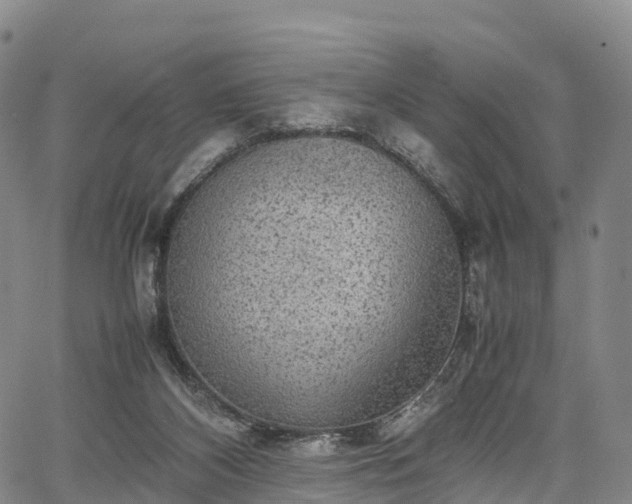 X0000067500116200604101240