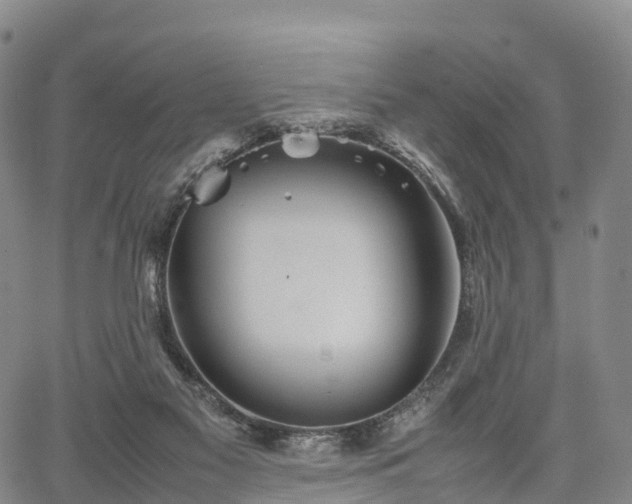 X0000067500117200604101240