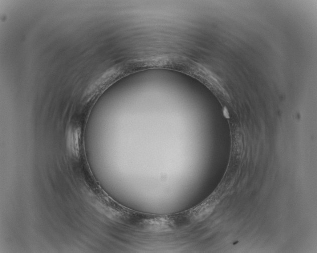 X0000067500118200604101240