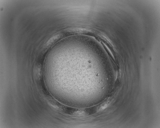 X0000067500119200604101240