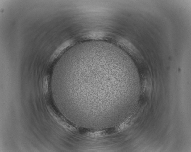 X0000067500120200604101240