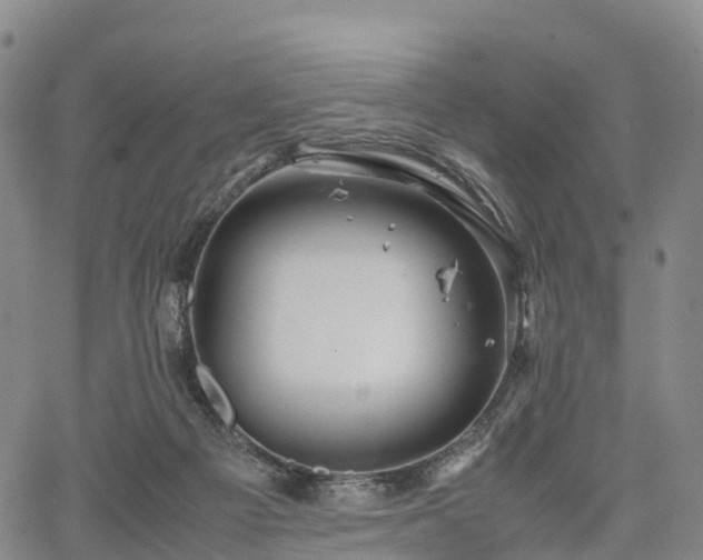 X0000067500121200604101240