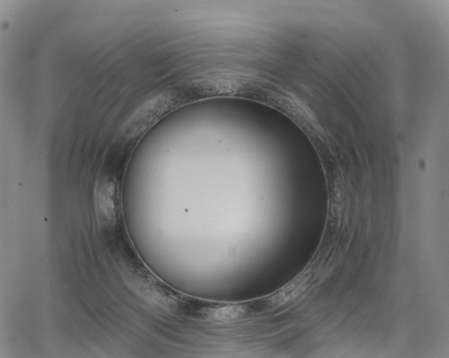 X0000067500122200604101240