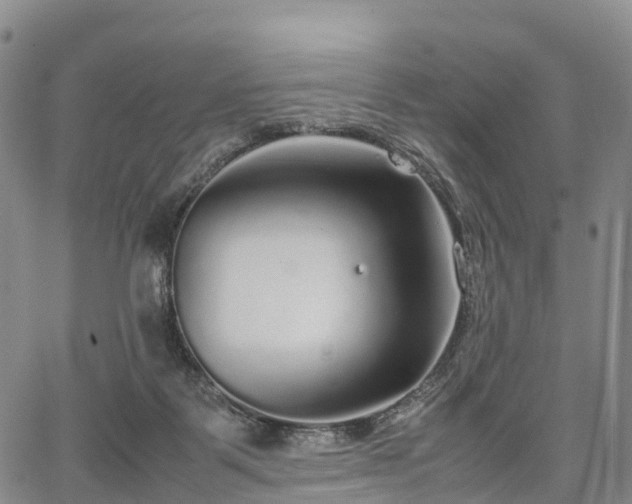 X0000067500123200604101240