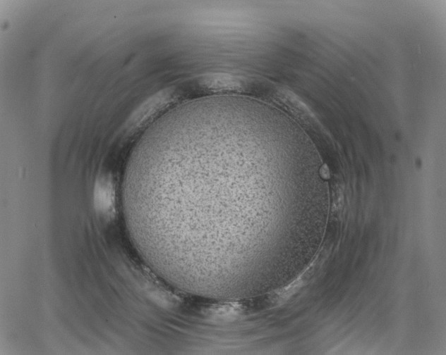 X0000067500124200604101240