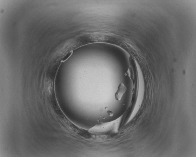 X0000067500125200604101240