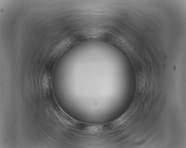 X0000067500126200604101240