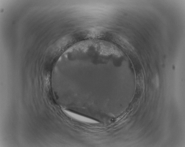 X0000067500127200604101240