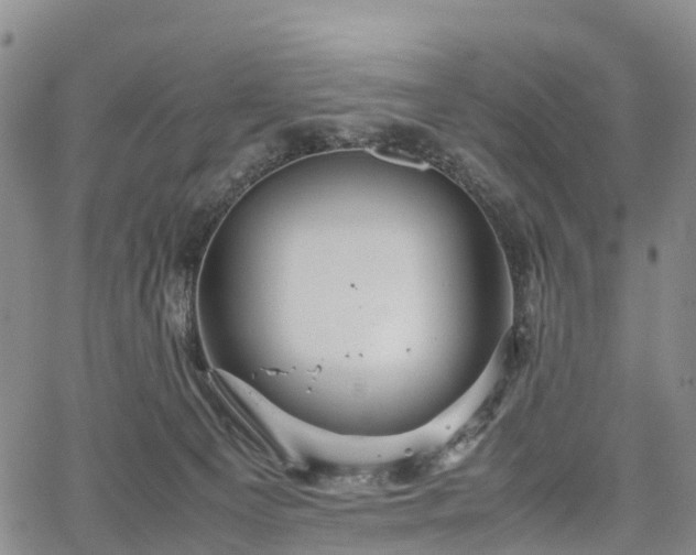 X0000067500129200604101240