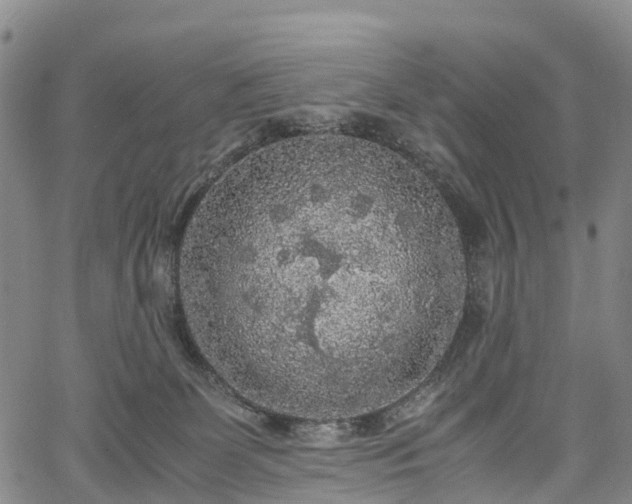 X0000067500131200604101240