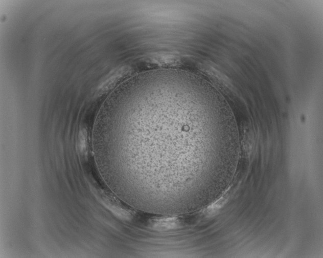 X0000067500132200604101240