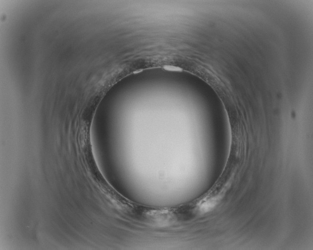 X0000067500133200604101240