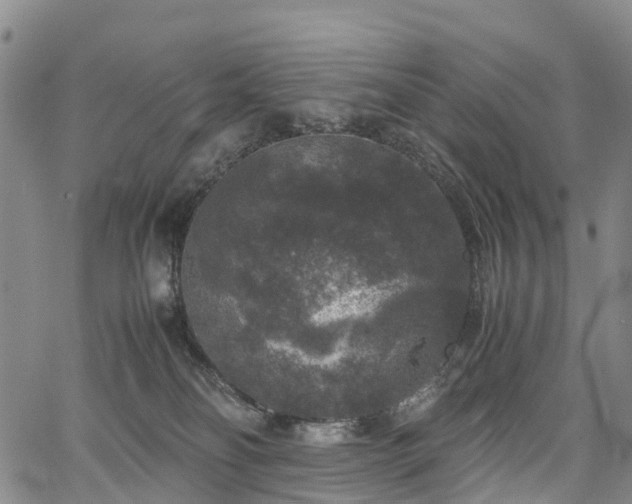 X0000067500134200604101240