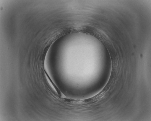 X0000067500135200604101240