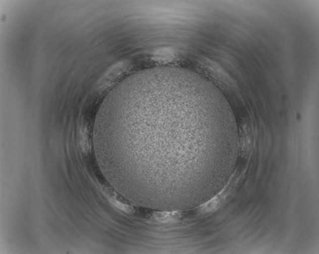 X0000067500136200604101240