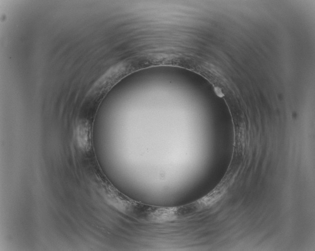 X0000067500138200604101240