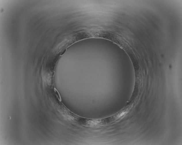 X0000067500139200604101240