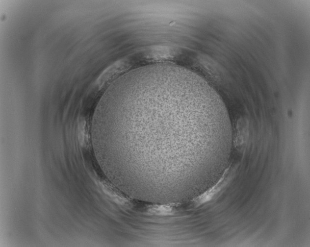 X0000067500140200604101240