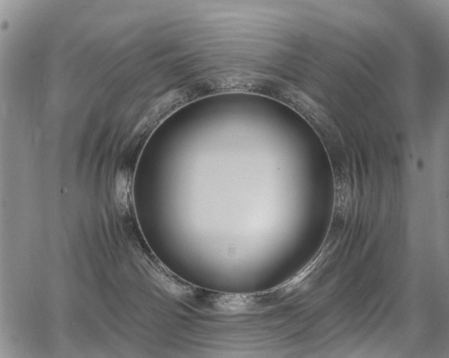 X0000067500142200604101240