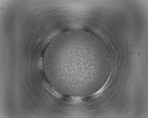 X0000067500144200604101240