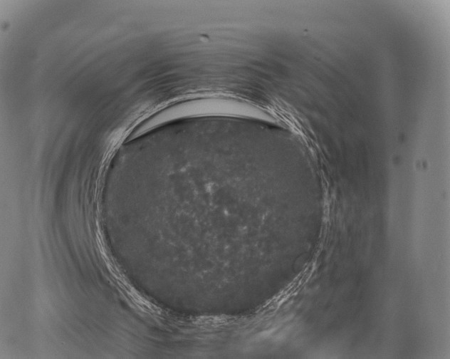 X0000067500145200604101239