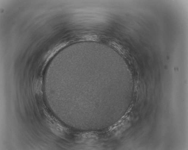 X0000067500146200604101239