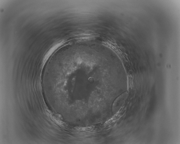 X0000067500147200604101239