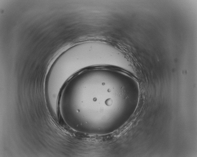 X0000067500148200604101239