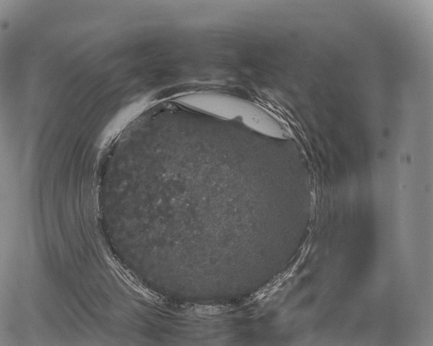 X0000067500149200604101239