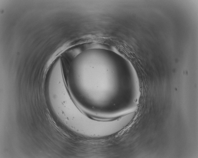 X0000067500150200604101239