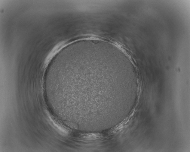 X0000067500151200604101239