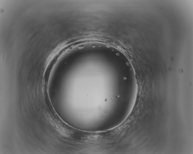 X0000067500152200604101239