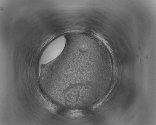 X0000067500153200604101239