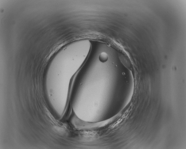 X0000067500154200604101239