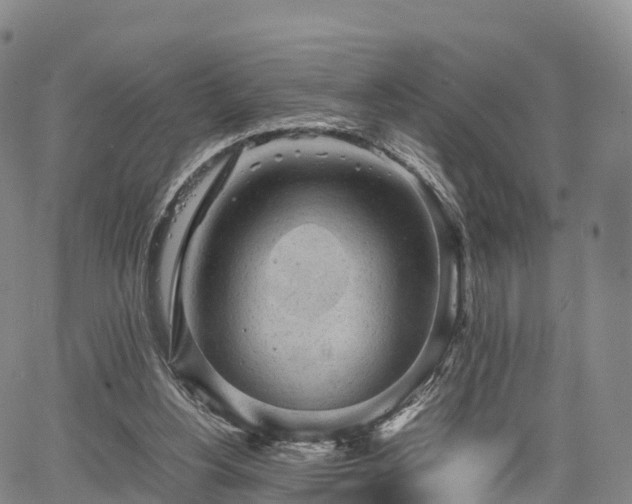 X0000067500156200604101239