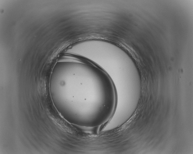 X0000067500158200604101239