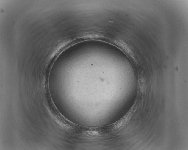 X0000067500159200604101239