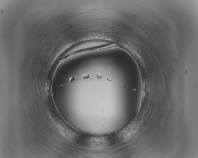 X0000067500160200604101239