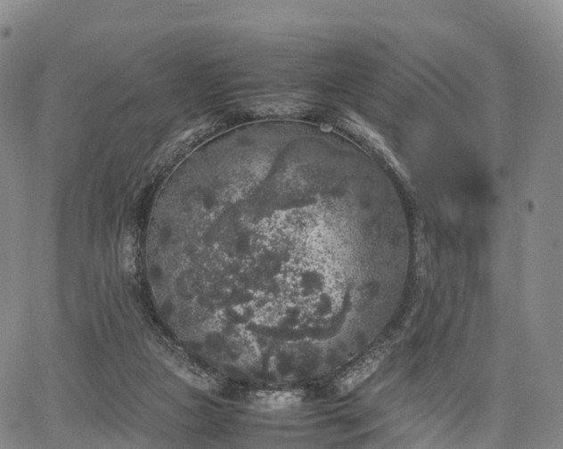 X0000067500161200604101239