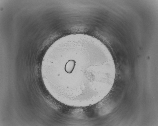 X0000067500162200604101239