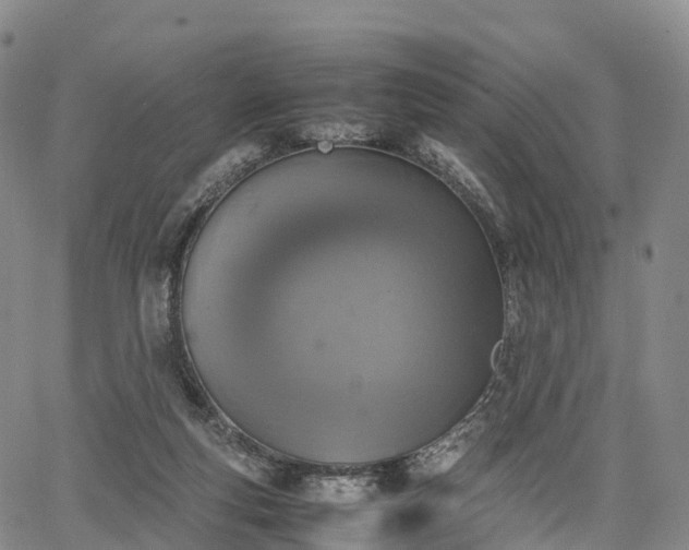 X0000067500163200604101239