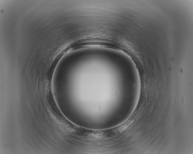 X0000067500164200604101239