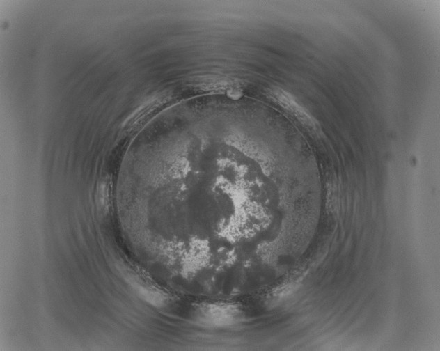 X0000067500165200604101239