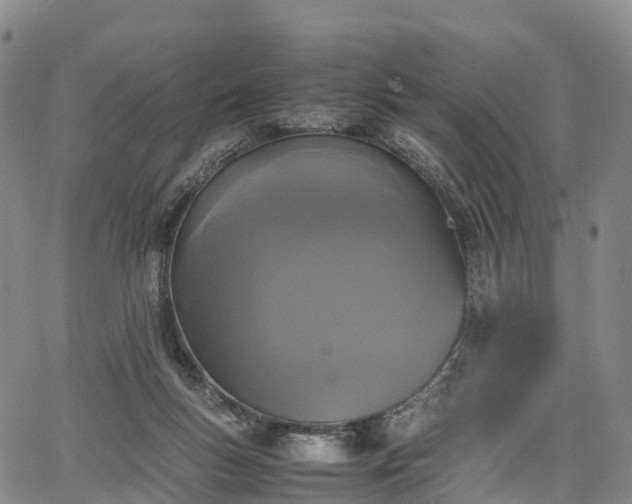 X0000067500167200604101239