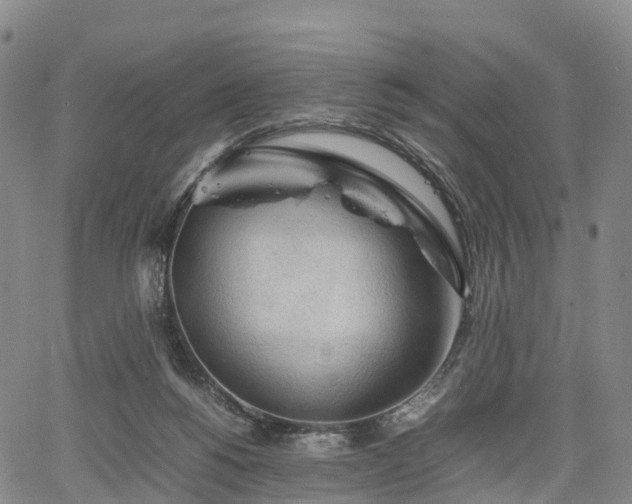 X0000067500168200604101239