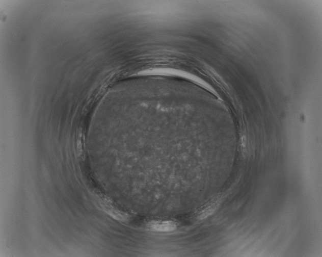 X0000067500169200604101239